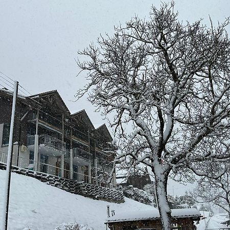 Lake Facing Studio Niederried bei Interlaken ภายนอก รูปภาพ