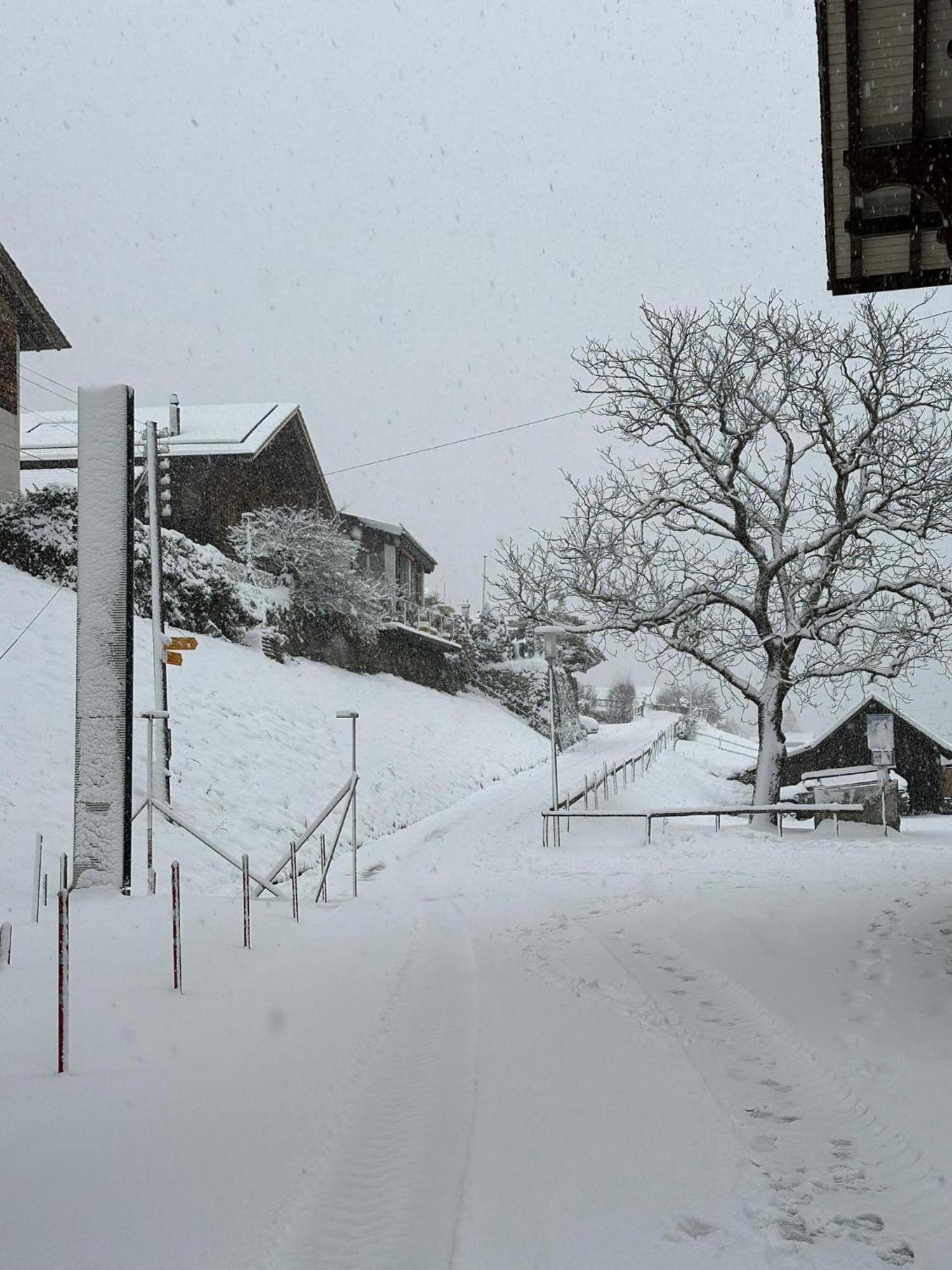 Lake Facing Studio Niederried bei Interlaken ภายนอก รูปภาพ