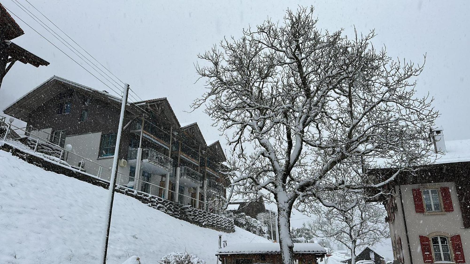 Lake Facing Studio Niederried bei Interlaken ภายนอก รูปภาพ