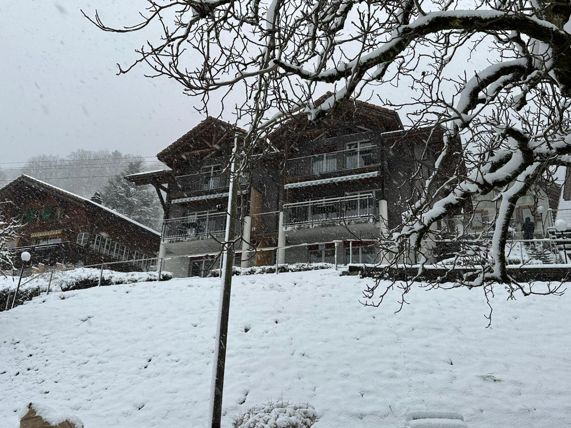 Lake Facing Studio Niederried bei Interlaken ภายนอก รูปภาพ