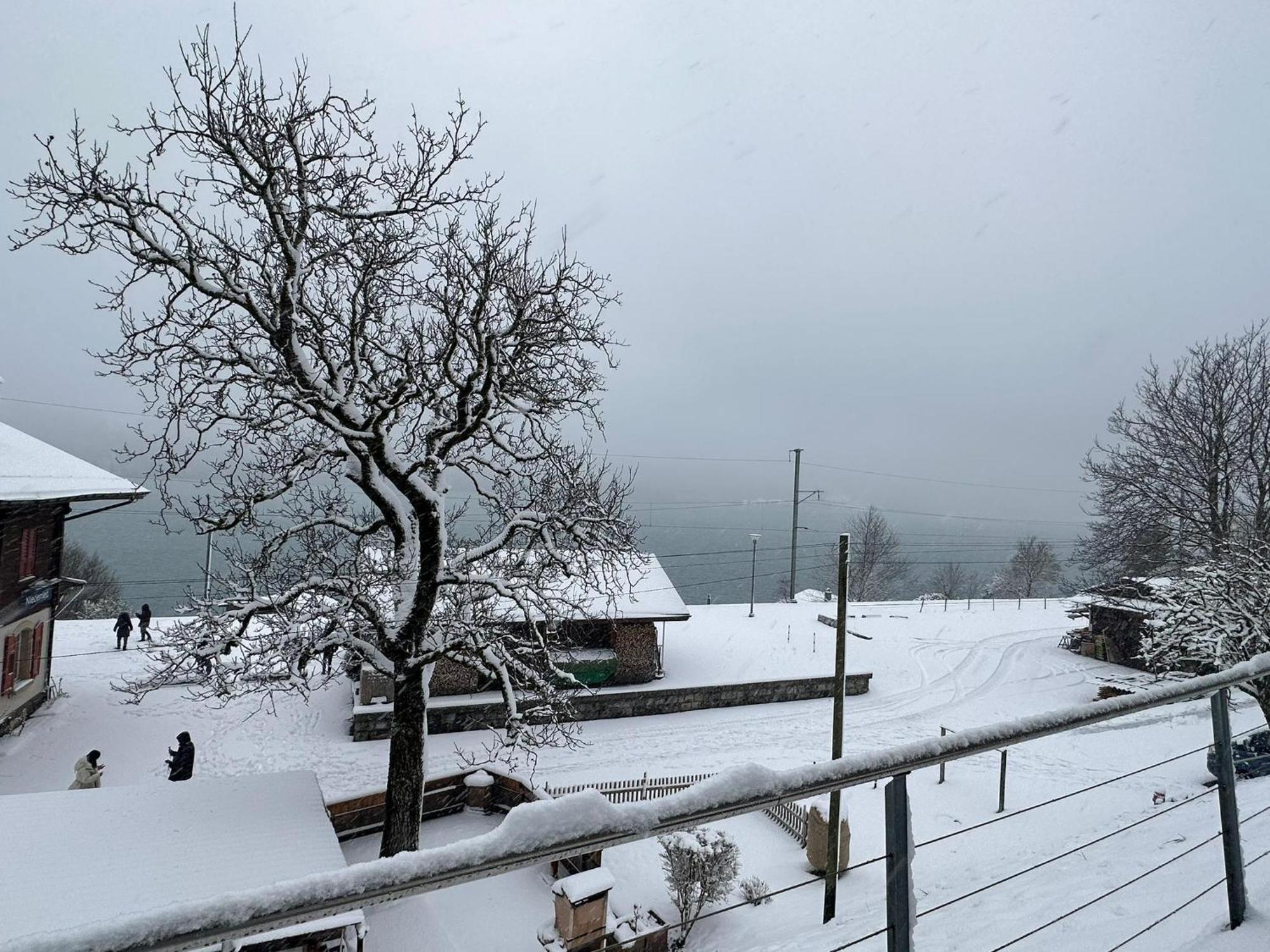 Lake Facing Studio Niederried bei Interlaken ภายนอก รูปภาพ