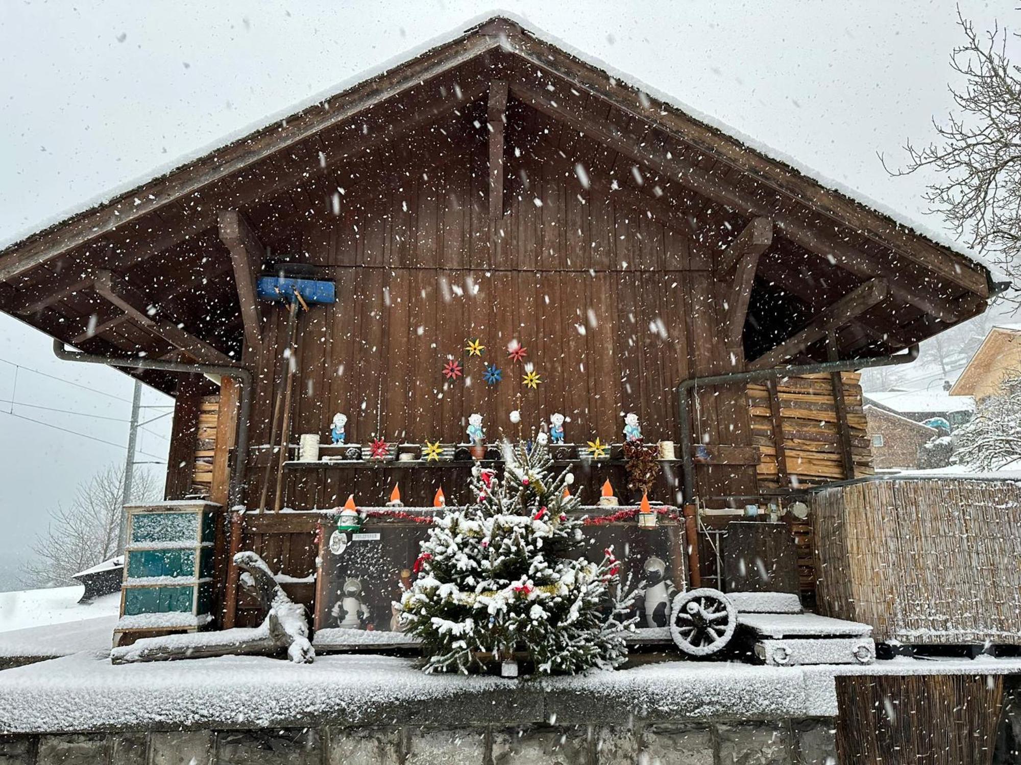 Lake Facing Studio Niederried bei Interlaken ภายนอก รูปภาพ