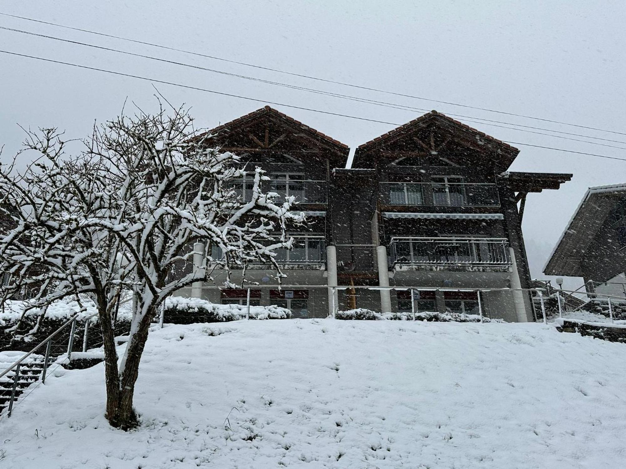Lake Facing Studio Niederried bei Interlaken ภายนอก รูปภาพ